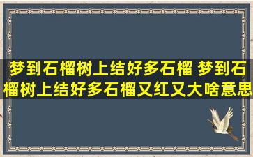 梦到石榴树上结好多石榴 梦到石榴树上结好多石榴又红又大啥意思